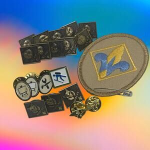 BSA Cub Scout Webelos Colors Patch & 19pc Pin Lot Bear Bobcat Activity Vintage